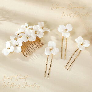 wbhhX  R[ Us Zbg t[  wAANZT[ wbhRT[W 񎟉 \ l  ԉ a  p[eB[ EFfBO uC_ EGfB