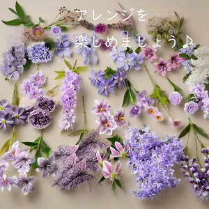 [AWg  3{Zbg CeA CeAt[ tFCNt[ A[gt[ ԍ Ԏ a o[Xf[ v[g rO  ꑕ fBXv