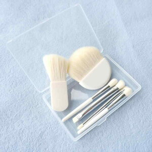 ���C�N�u���V �Z�b�g ������ �r�� �g�їp �~�j�T�C�Y �Z�� �A�C�V���h�E�u���V �_�u���w�b�h �P�[�X�t��