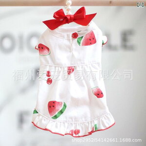 s[X ^p Lp ybg t  efB |jA rV 킢 pCibv