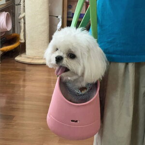 ybgobO EVAf ʋC y h DIY\ ȒP  Lp L[obO U s p