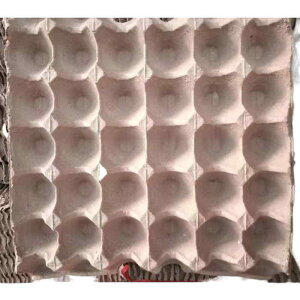 �� ���� ���P�[�X 10�� 15�� 30�� ���p�b�N �{�{ �A���p