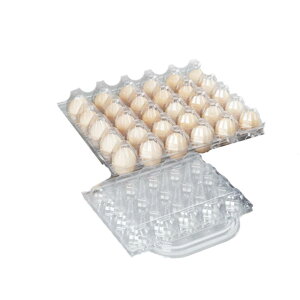 P[X   ĝ {  _bNGbO pbP[W {bNX Ki [