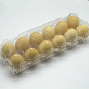  { Aq s[^ P[X 10 Ռz ɏ  e ĝ  PET Ci[