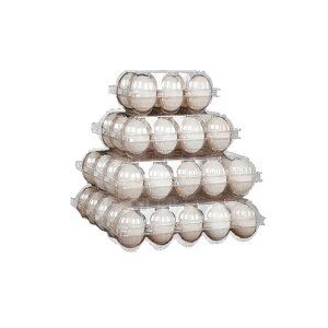 P[X z_[  ① h~ ^ Ռz