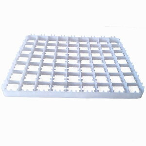 �{ �� �@ �z���� ��p ���g���[ 88�� �v���X�`�b�N�� �ϋv�� �����^ �j���g�� �E�Y�� �{�B �@�B