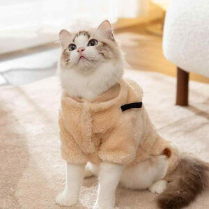 L  킢 F obO lr t[X L cL  h ybg   H~