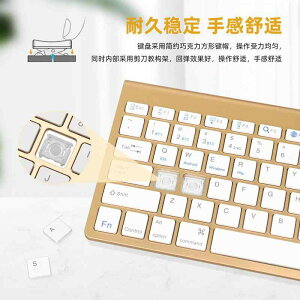 L[{[h }EX Zbg É CX Bluetooth  24GHz ^т₷ X\