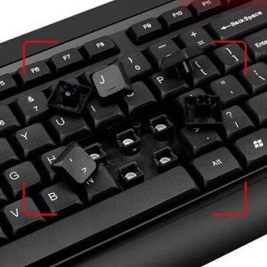 L[{[h }EX Zbg L fXNgbvp\R p ƒp2