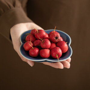 q َq M  M ~jv[g ʕM P[LM  ANZT[g[ ibcg[