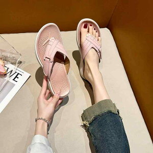 T_ fB[X H~  h  [V[Y Xbp t@[ 킢 ؍  ig 