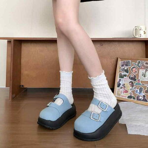 T_ fB[X  C\[ r Xbp T{ T_ ubNq[ RtH[g ig O JWA ₷ ɂ fj u[n