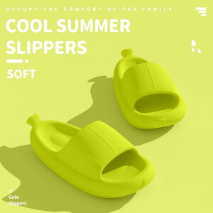 T_ fB[X W[ [V[Y  ~ _炩  Y Xbp ig y ʋC ڐG⊴ NbV ₷