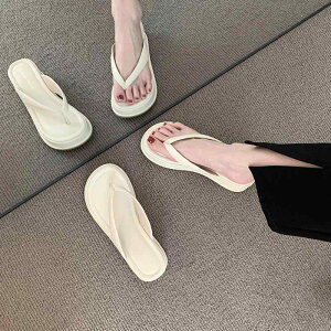 T_ fB[X  r[`T_ V[Y C  C l @t ig 킢 