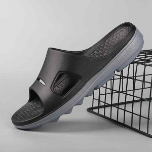 T_ jp  Ռz Xbp Y A[`T|[g RtH[gT_ Jo[T_ [V[Y Jy 傫TCY 47