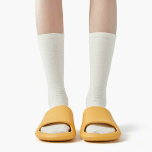 T_ fB[X  r[`T_ Y V[T_ Xbp EVA  ~  t