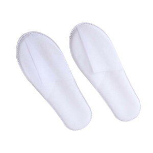 Xbp ĝ fB[X Y  [ s h{ AjeB sDz y g