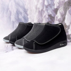 C fB[X oRC Xm[u[c ? ȌC N  ۉ ϖՐ AEghA