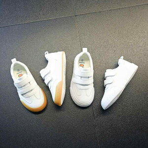 C xr[ ̎q qC ʋC Xj[J[ j̎q  ^C c  ₷ ~