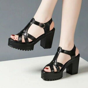 T_ fB[X  h Xgbv [} ~[ `L[q[ EGbW\[ ₷ ɂ JWA   s ~