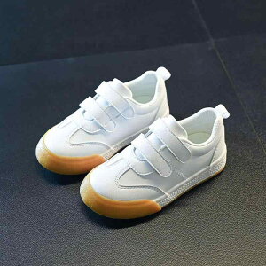 Xj[J[ qC j̎q LbY tH LoXV[Y ct wZ ʊw ig  n ₷ ₷