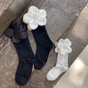 C fB[X  \bNX    xbg p[ ԕ 킢 r Lk V[gu[c ig f[g