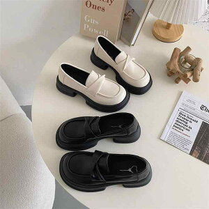 [t@[ fB[X V[Y  C t@bV fUC n X^_[h x[VbN JWA X^C TCY 傫TCY