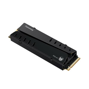 fanxiang S880 M.2 SSD 1TB NVMe 2280 �ő�7450MB/s PCIe Gen4.0x4 64Gb/s M.2 SSD PS5����m�F�� 3D NAND TLC ����SSD SLC�L���b�V�� �O���t�F���f�� ���M�� �m�[�g