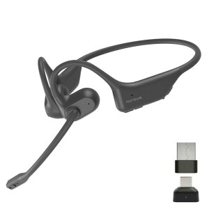 Nuroum OpenEar Pro2 �I�[�v���C���[ �C���z��