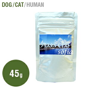 NX^CXg 60g Tvg ELp ڂׂ̈̉h{f 