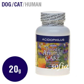 アズミラ Azmira アシドフィラスパウダー 20g 90g（犬 猫用） 【サプリ サプリメント 犬 猫 ペット ラクトース アシドフィラス菌】