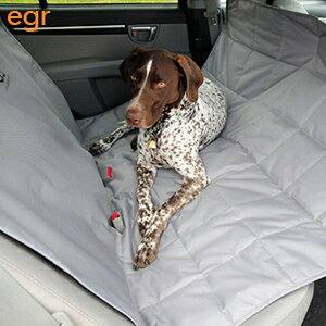 yegrzV[gveN^[@nbN@yhCuzyԁz