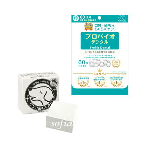 yZbgizvoCIf^60 񂱎΃g p Lp ^ Pʋ K12 K18 biotank oCI^N ̃PA LPA aPA GXg[ _ y 