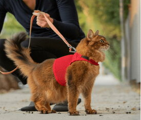 【sleepypod】Martingale Cat Harness / マーチンゲールキャットハーネス　Sサイズ Mサイズ Lサイズ（全5色）