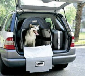 egr C[W[A[ DOGBAG hbOobO STCY MTCY LTCY C^A L[obO ړACe gуybgnEX y iC hH ybgnEX hCu N}  o