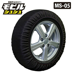 �y2025�N���f���z���r���V���V�� MS-05
