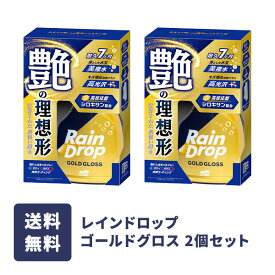 ソフト99 レインドロップ ゴールドグロス 2個セット soft99