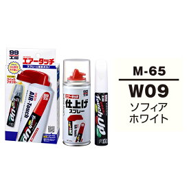 ソフト99 タッチアップペン（筆塗り塗料） M-65 【ミツビシ・W09 （AC10809）・ソフィアホワイト】とエアータッチ仕上げセット