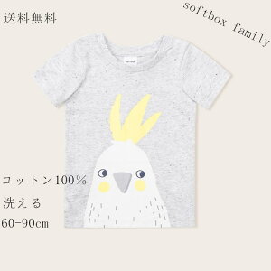 LbY xr[ TVc j̎q ̎q   gbvX Ԃ  tVc   [EFA 킢 q  ۈ牀 ct Rbg xr[ Jbg\[ oYj M