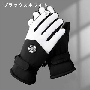 fB[X Xm[O[u O[u XL[  5{w EB^[X|[c Xm{[ oR AEghA jp X}zΉ ۉ h h  O ~ Ⴉ p TCY 