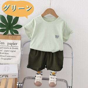 yN[|5OFFz qǂ TVc Zpc ㉺Zbg [EFA  tVc n[tpc Zbg LbY WjA  ^  u₩  2_Zbg TVcV[cZbg 
