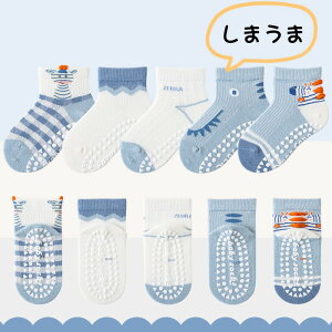 yX[p[Sale 10%OFFz bV C q 5Zbg ~ߕt j̎q ̎q Ȃ N[  j  LbY \bNX AN\bNX {[CY K[Y  