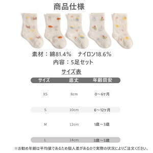 y2_220~OFFz LbY C 5Zbg Ԃ  bV Ȃ K c V[g\bNX j̎q ̎q ct   킢 q ǂ  WjA Rbg