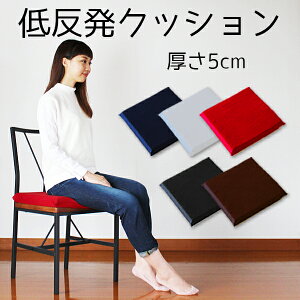 y Gg[P10{z yQ[̎IXXzᔽNbV iᔽ5cmNbV {100 Fislandᔽ50mmNbV zc ֎q ᔽ NbV ɑ΍  CUSHION 