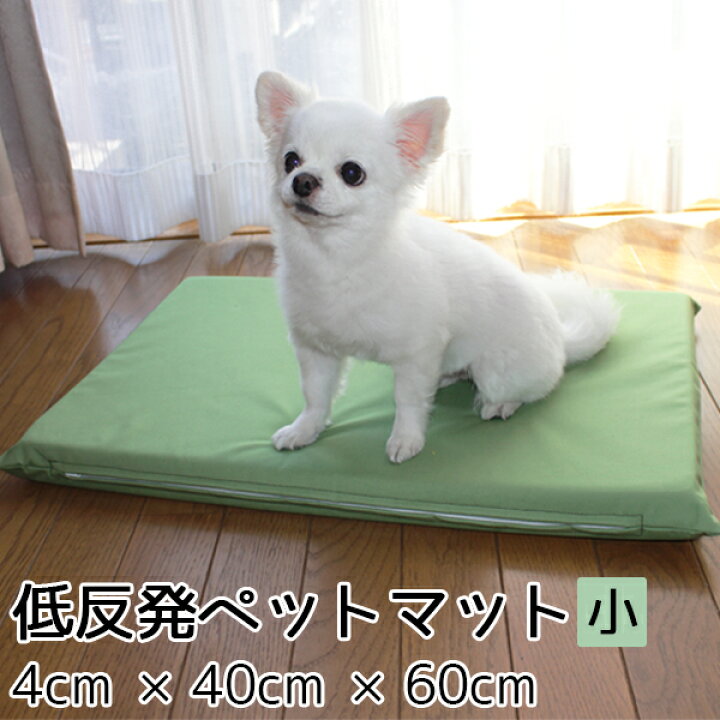 楽天市場】【7/18 0時~7/26 1時59分ポイント5倍】 ペットマット 低反発 