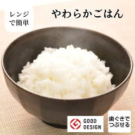 やわらか食 やわらかごはん 介護食 やわらか食 介護食 やわらか 冷凍 冷凍食品 柔らかい 介護食品 やわら…