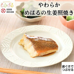 炩H ߂΂̐IƏĂ 1H H 炩H H 炩 Ⓚ ⓀHi _炩 Hi 炩Hi Hׂ₷   y H ݐH   Ȃ ȒP