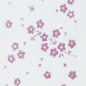 \マラソン★15%OFFクーポン/ 1枚 日本製 ガーゼ パイル フェイスタオル 薄手 染 ワイドサイズ 捺染 プリント 泉州産