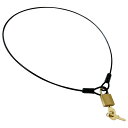 南京錠 鍵付き セキュリティワイヤー【南京錠 鍵付き セキュリティワイヤー】