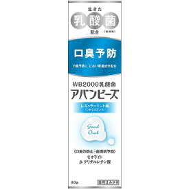 アバンビーズ レギュラーミント味 80g わかもと製薬【RH】